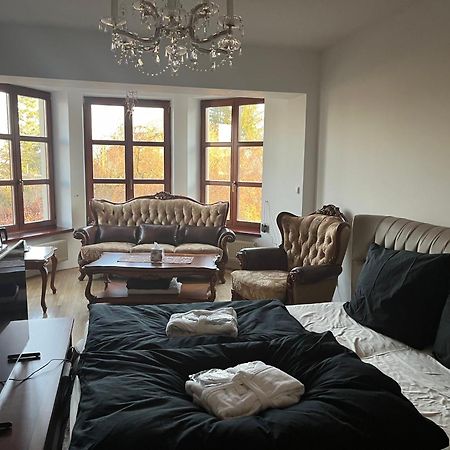 Dogs Resort And Spa Horni Bezdekov Esterno foto