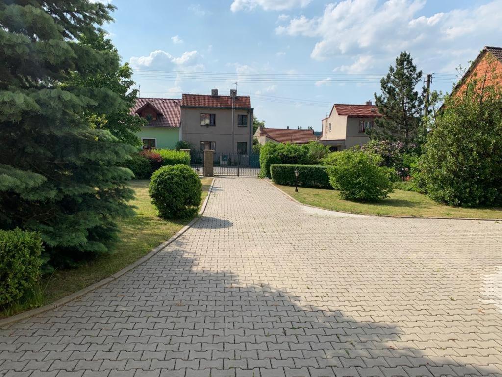Dogs Resort And Spa Horni Bezdekov Esterno foto