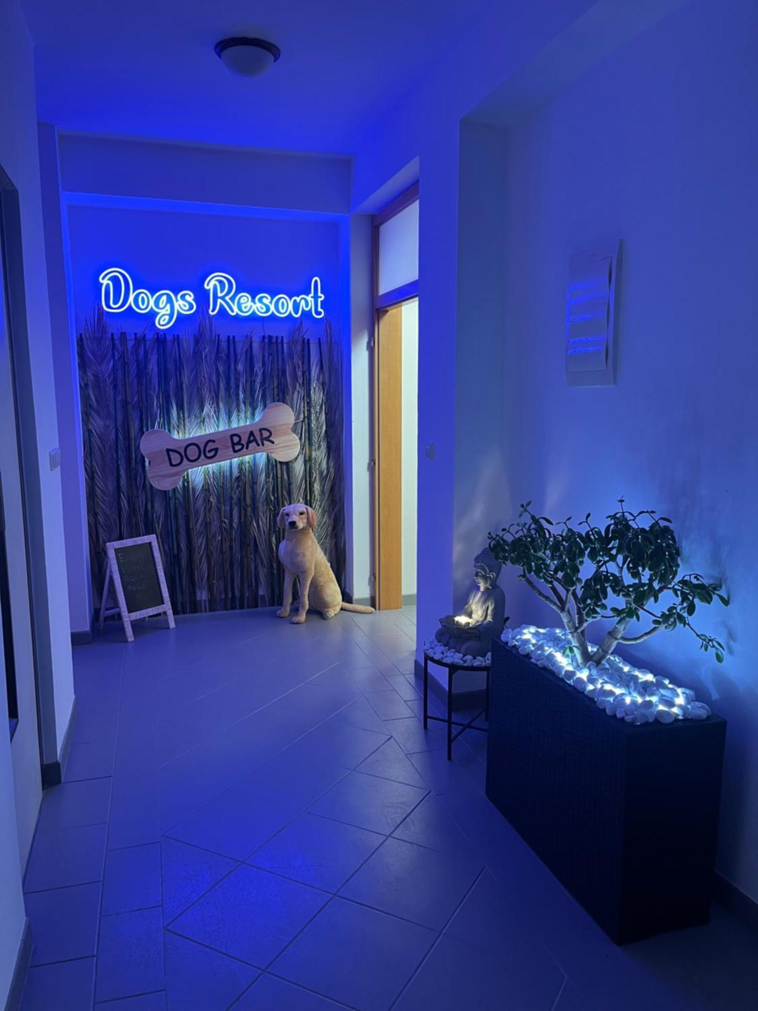 Dogs Resort And Spa Horni Bezdekov Esterno foto